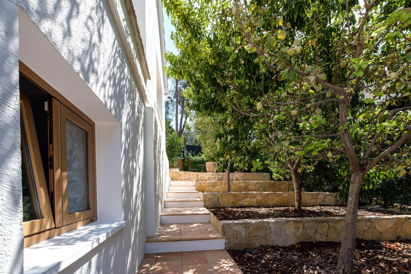 Well-maintained Mediterranean villa in Portals Nous, Mallorca (52)