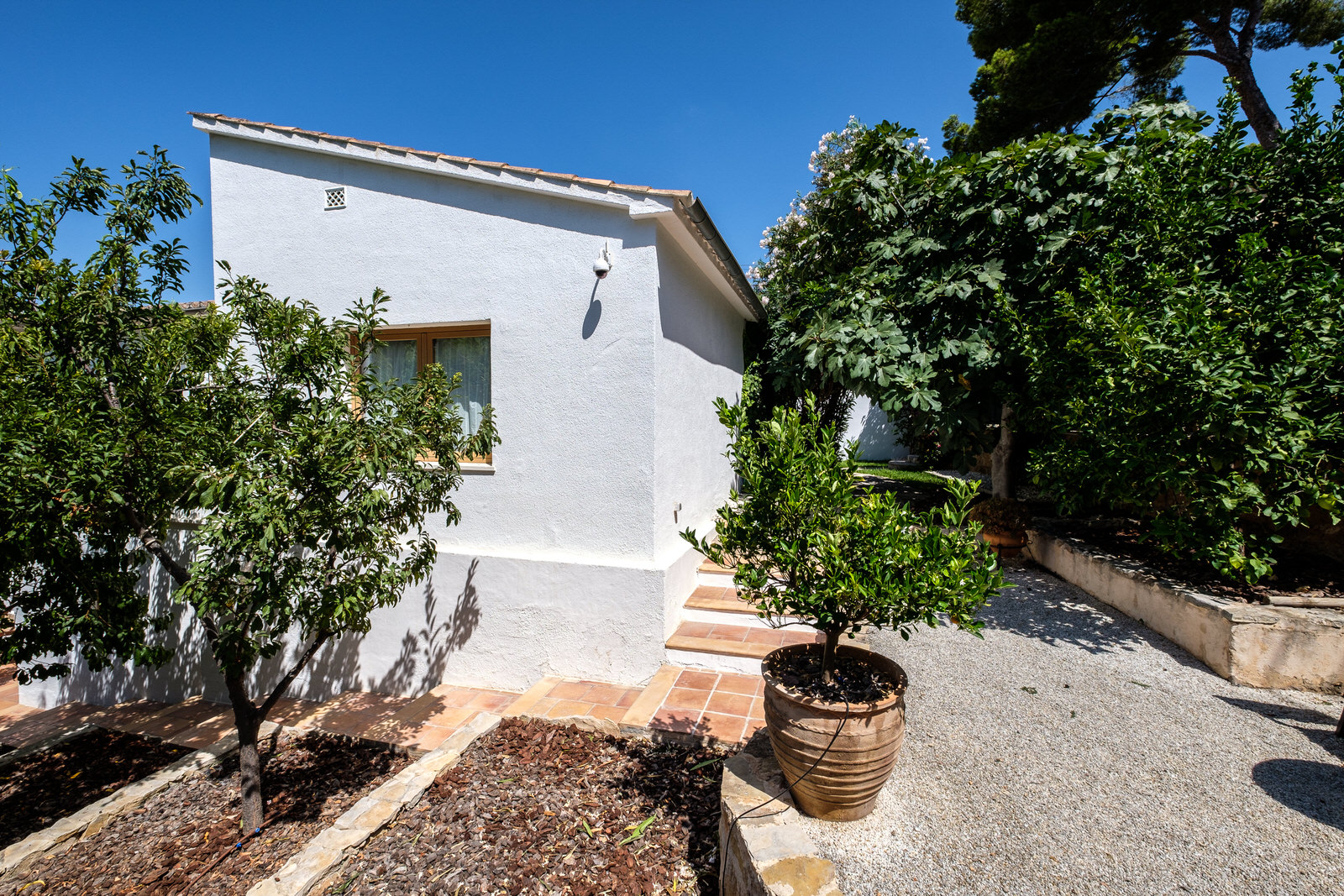 Well-maintained Mediterranean villa in Portals Nous, Mallorca (7)