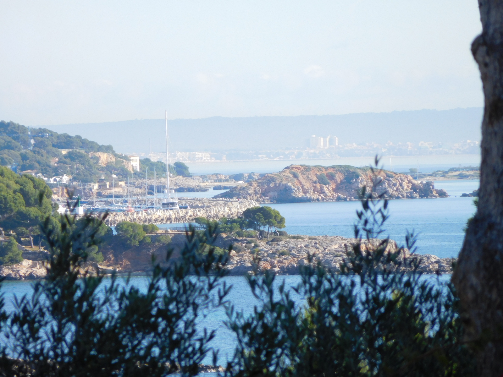 Plot with seaview in Palmanova