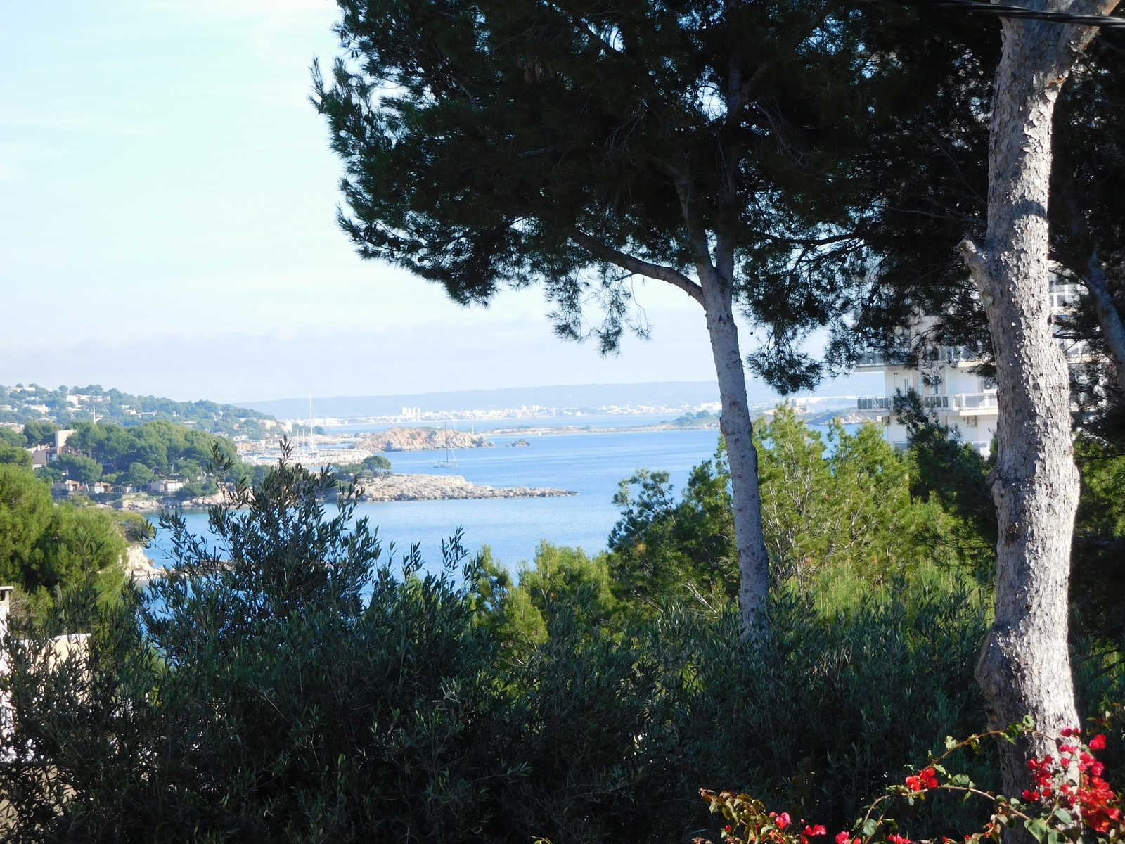 Plot with seaview in Palmanova
