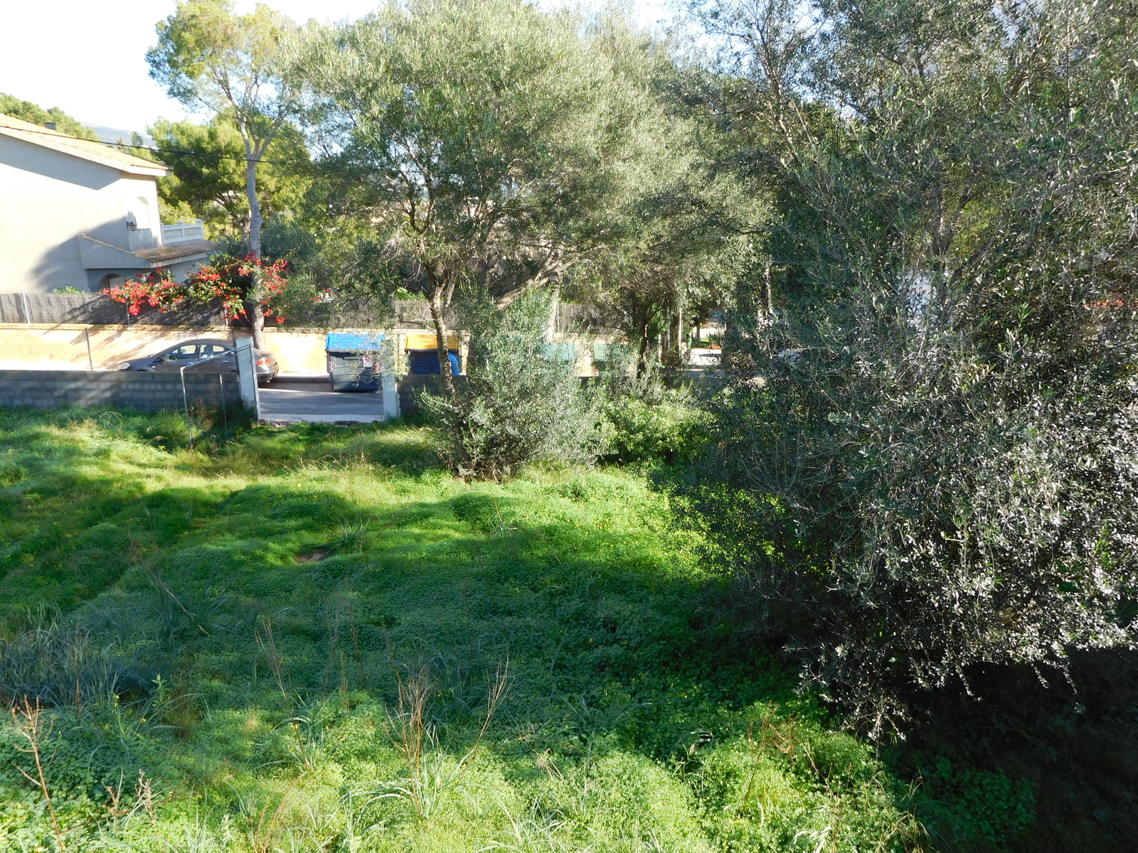 Plot with seaview in Palmanova