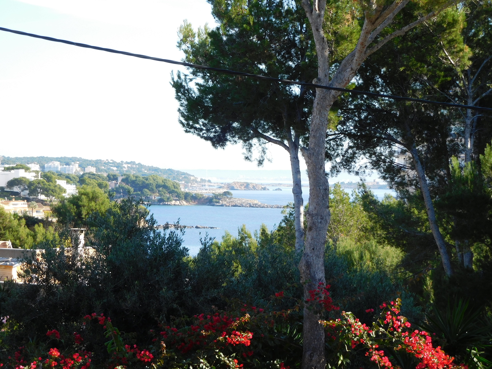 Plot with seaview in Palmanova