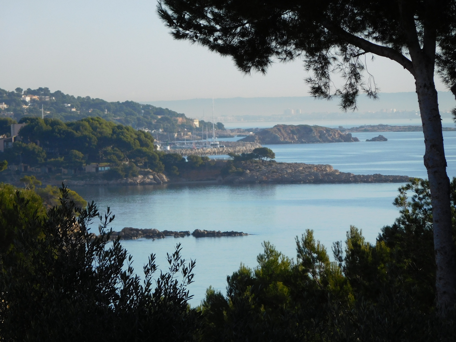 Plot with seaview in Palmanova