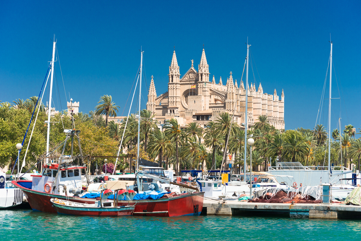 Palma cathedral port