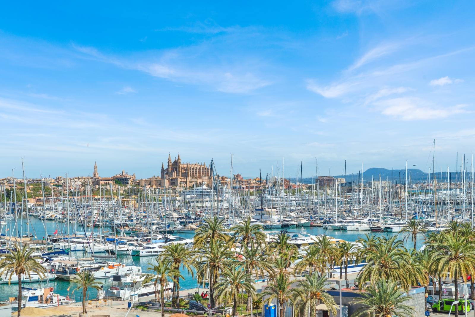 Luxurious apartment with large terrace and stunning views over Palma's harbor and the cathedral (6)