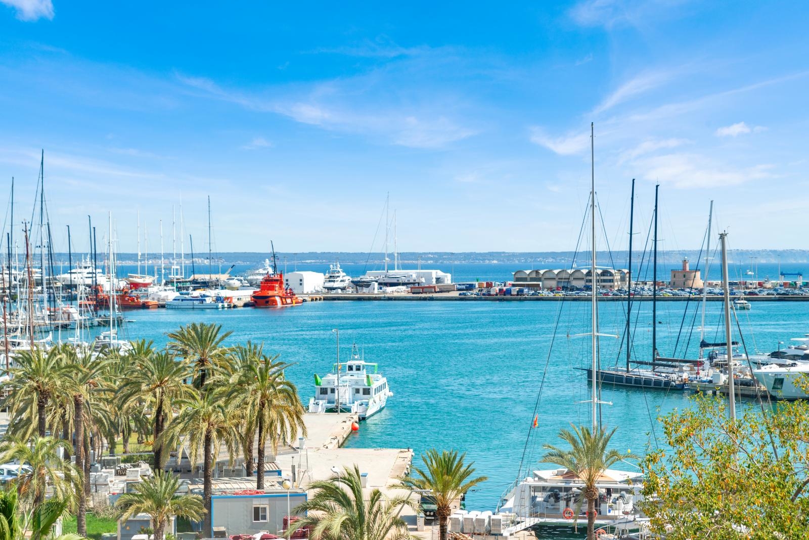 Luxurious apartment with large terrace and stunning views over Palma's harbor and the cathedral (2)