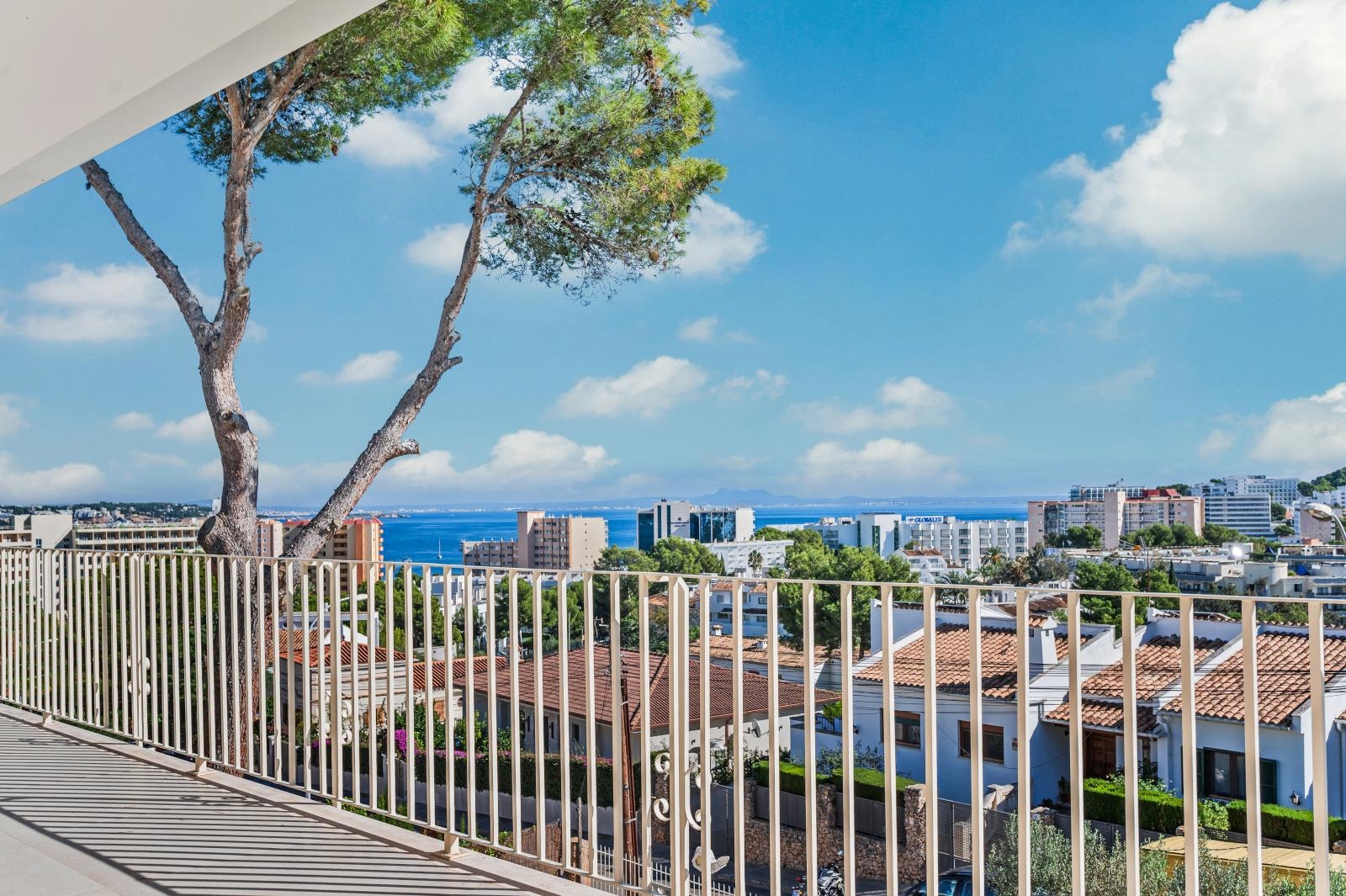 Villa, House with Pool - Palmanova - Mallorca (3)