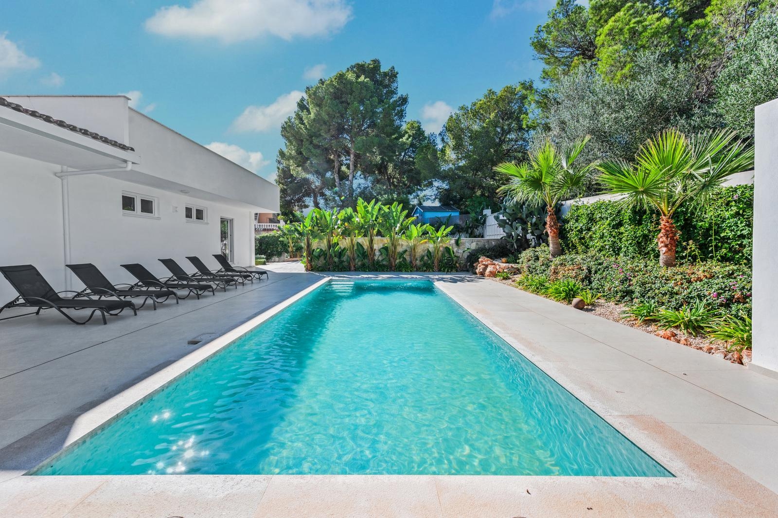 Villa, House with Pool - Palmanova - Mallorca (27)