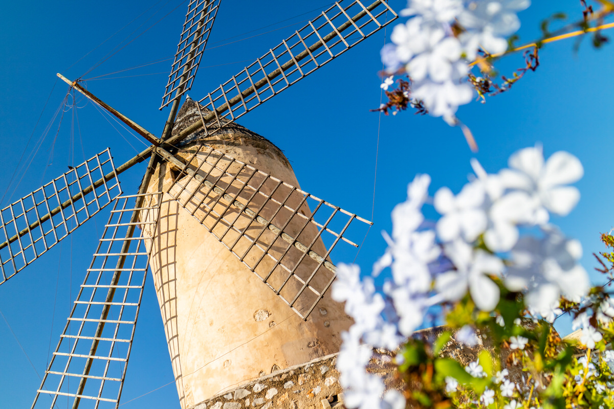 AdobeStock_231888527